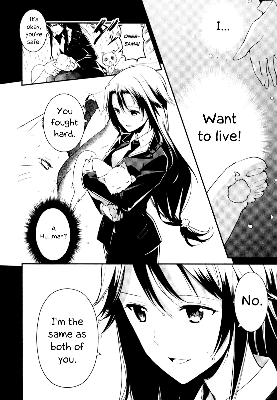 Bokura wa Minna Ikite Iru! Chapter 11 page 13 - Chapter 11 : Miko and the Abandoned Cat's Feelings