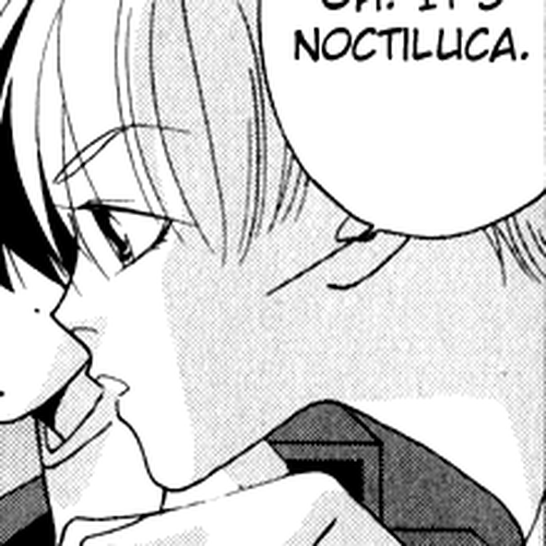 Bokutachi Otokonoko Chapter 24.2: Southward! cover