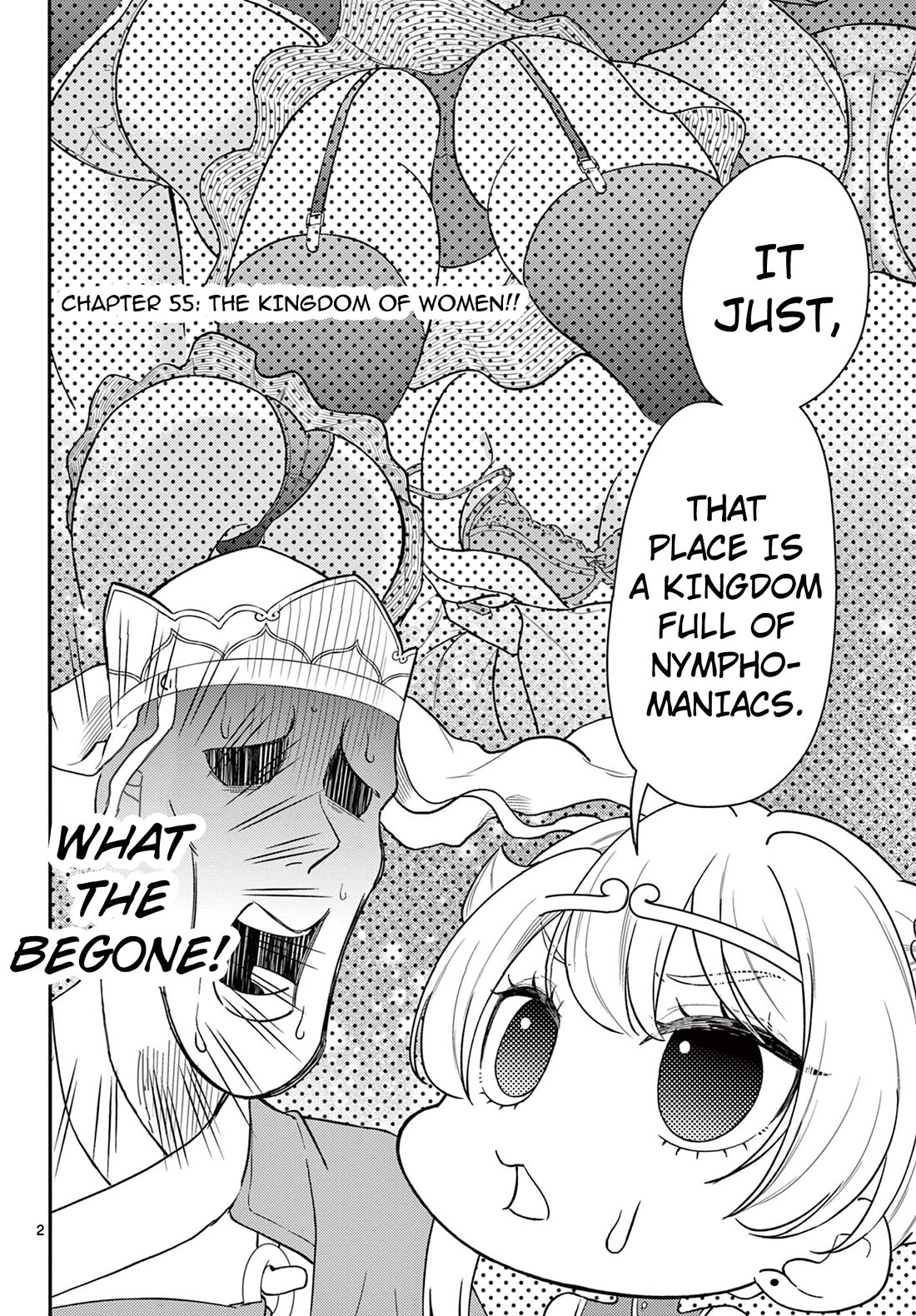 Bonnou☆Saiyuuki Chapter 55 page 3 - Chapter 55: The Kingdom of Women!!