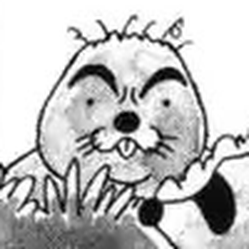 Bonobono Chapter 24: Raccoon's Absolutely Angry cover