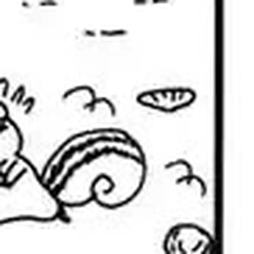 Bonobono Chapter 40: Let's Ask Raccoon cover