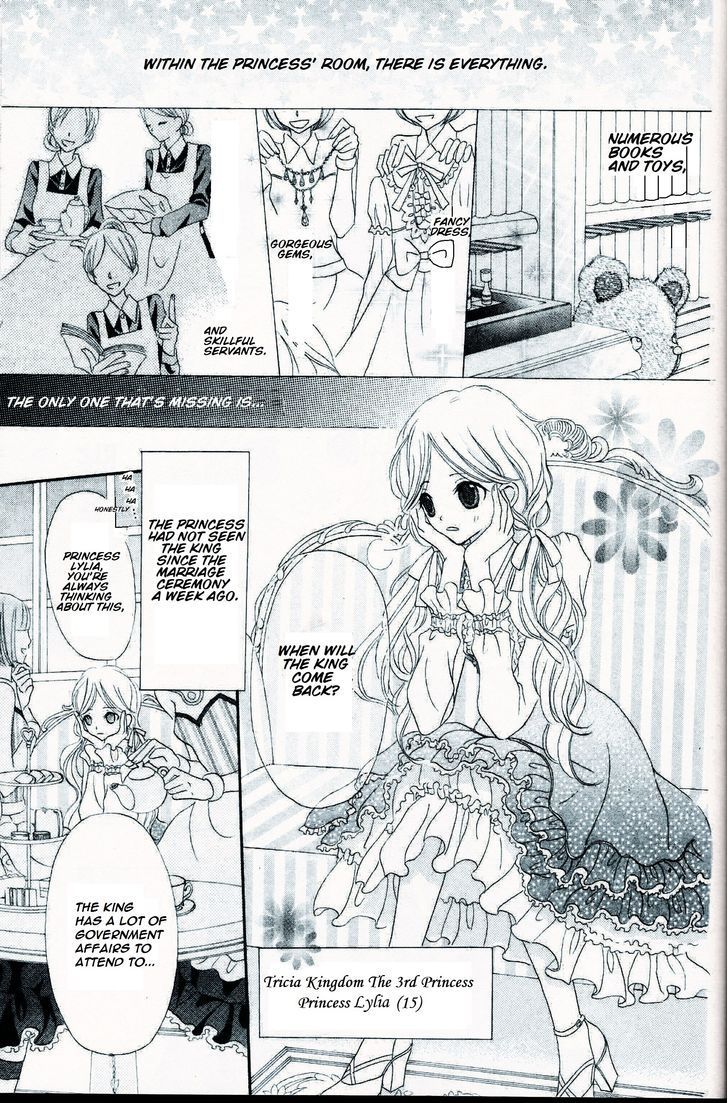 Boukyaku no Shirushi to Hime Chapter 1 page 3 - Chapter 1