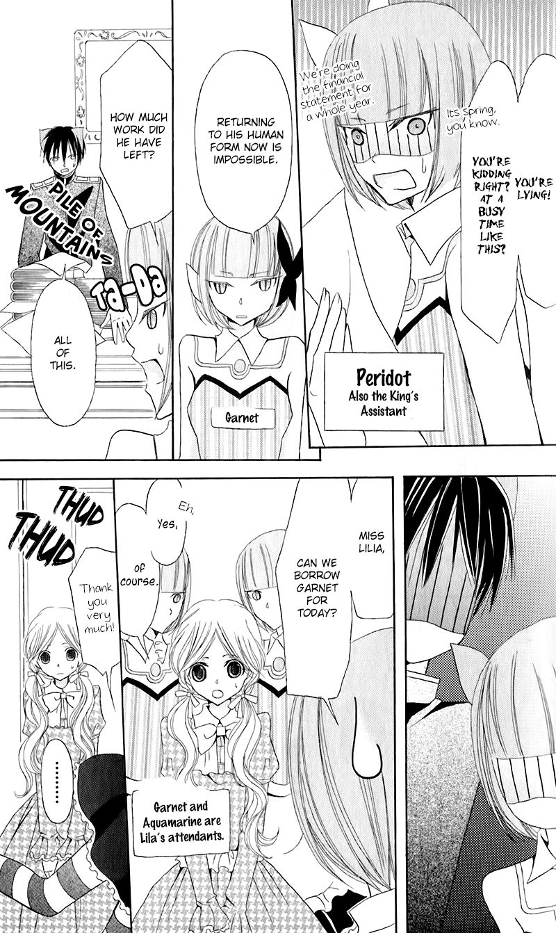Boukyaku no Shirushi to Hime Chapter 11 page 14 - Chapter 11