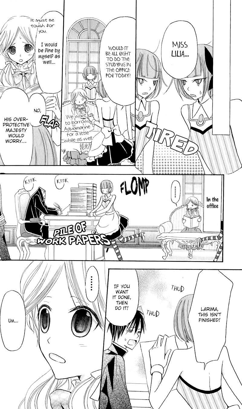 Boukyaku no Shirushi to Hime Chapter 11 page 15 - Chapter 11