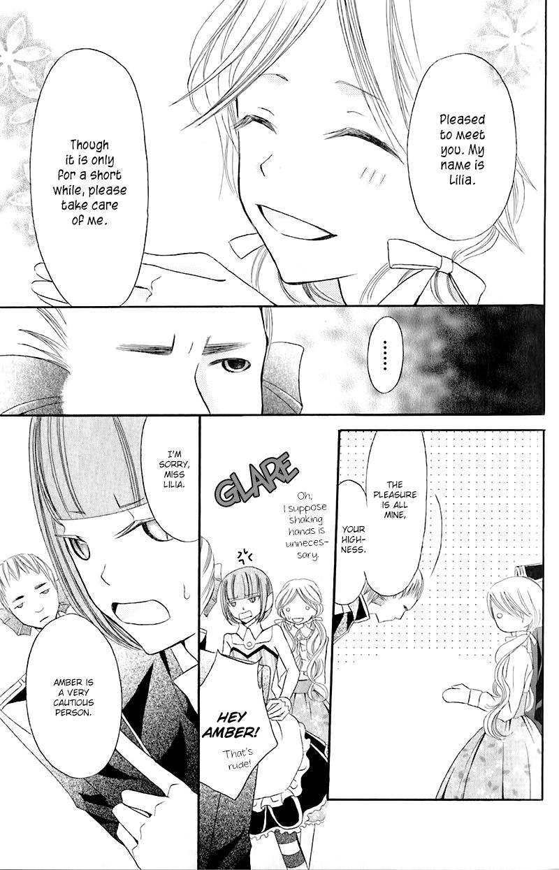 Boukyaku no Shirushi to Hime Chapter 12 page 11 - Chapter 12