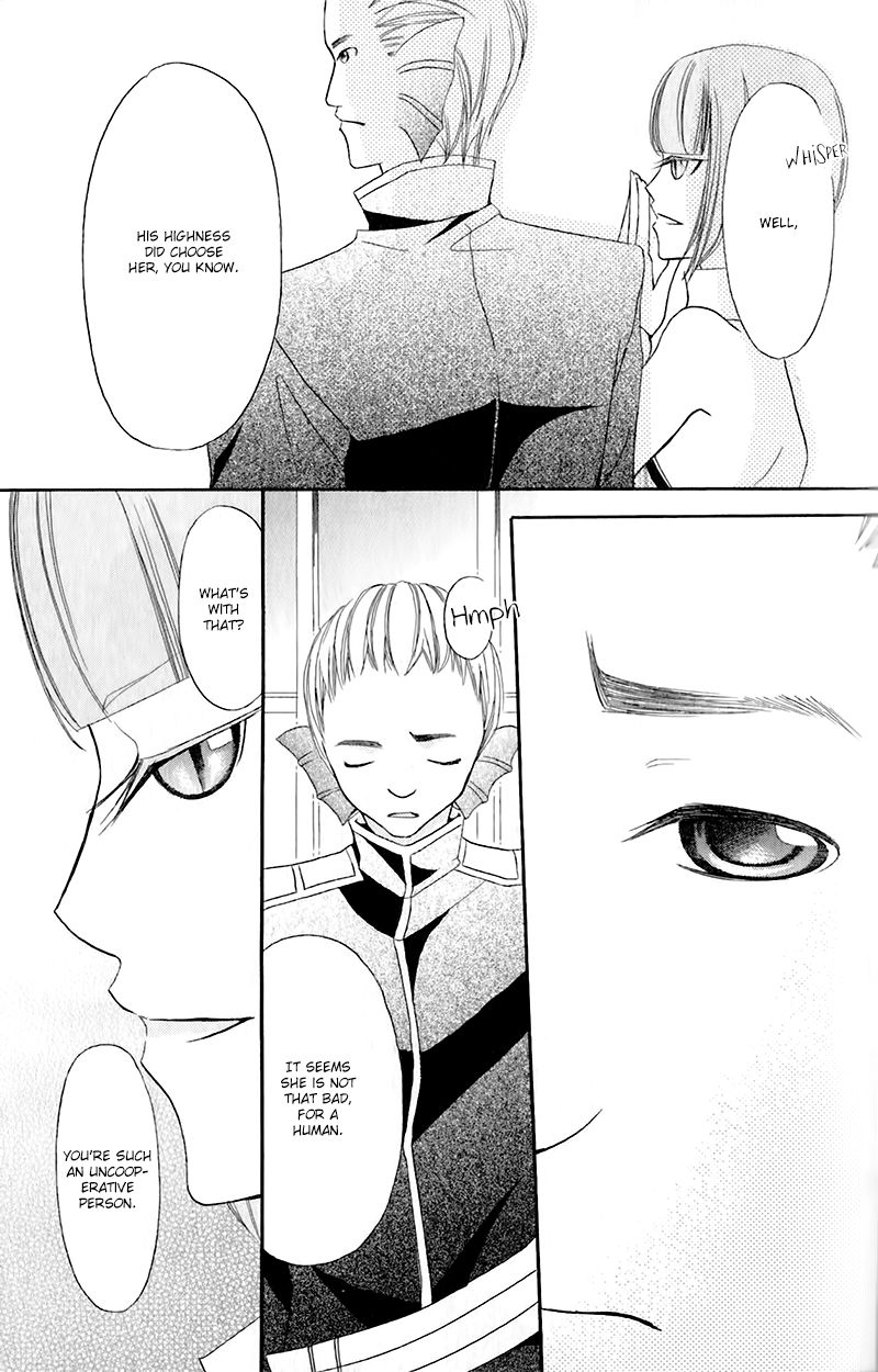 Boukyaku no Shirushi to Hime Chapter 12 page 35 - Chapter 12