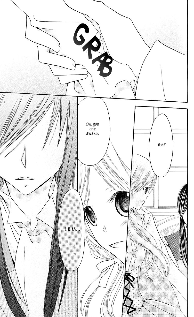 Boukyaku no Shirushi to Hime Chapter 13 page 27 - Chapter 13