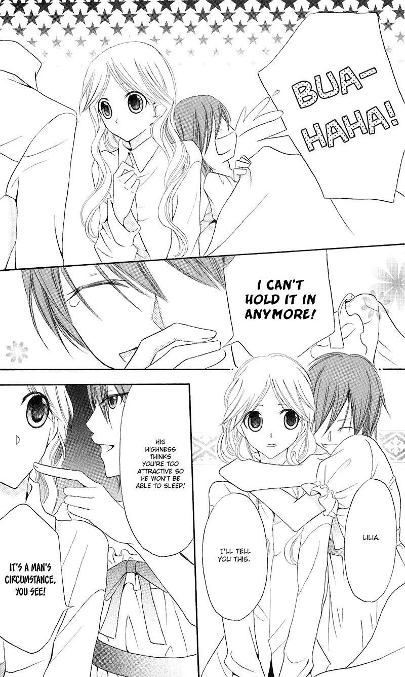 Boukyaku no Shirushi to Hime Chapter 16 page 33 - Chapter 16