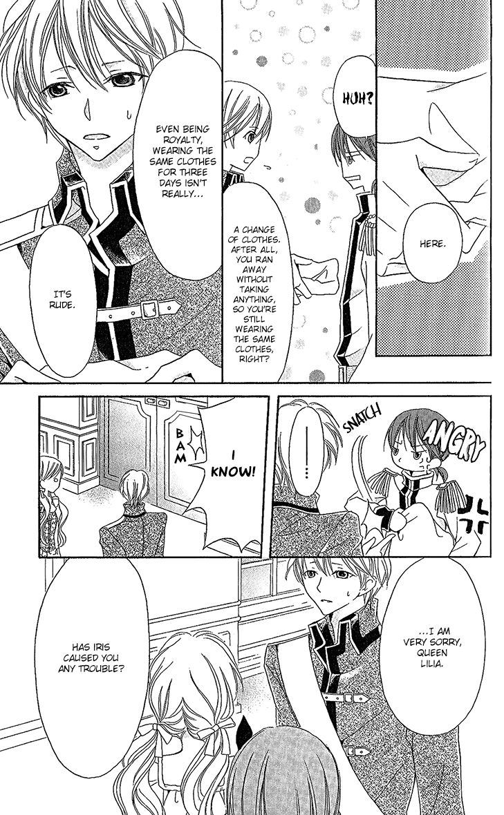 Boukyaku no Shirushi to Hime Chapter 17 page 19 - Chapter 17