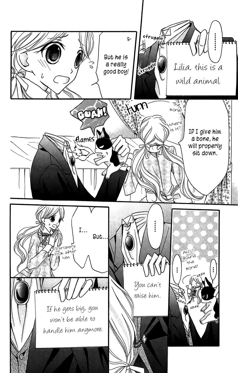 Boukyaku no Shirushi to Hime Chapter 6 page 25 - Chapter 6