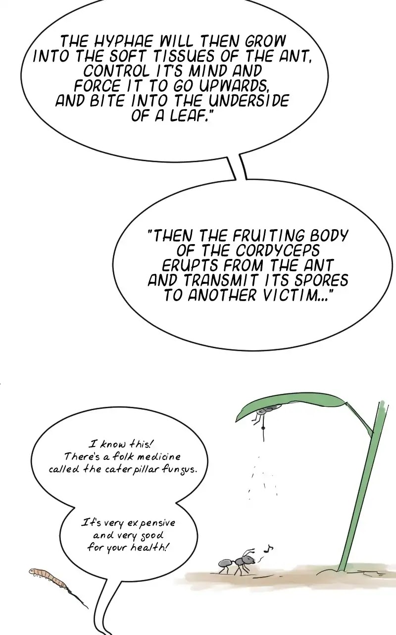 Boyfriend of the Dead Chapter 203 page 20 - Chapter 203: Ep.188: A Fungus Among Us