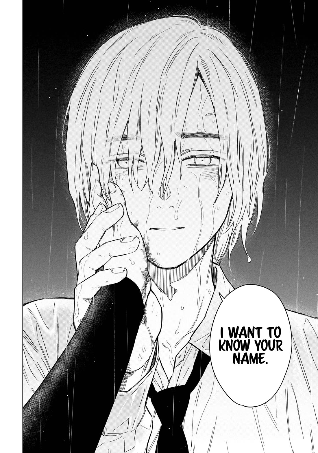 Boy's Abyss Chapter 183 page 17 - Chapter 183: They Were the Boys and Girls of That Town [END]