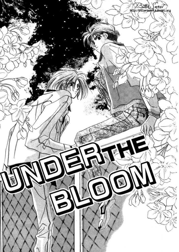 Boy's Cried Chapter 2 page 2 - Chapter 2 : 2: Under the Bloom \ 3: Behavioral Report