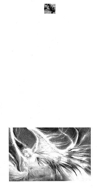 Bronze Chapter 19.22-2 page 37 - Chapter 19-22 v2
