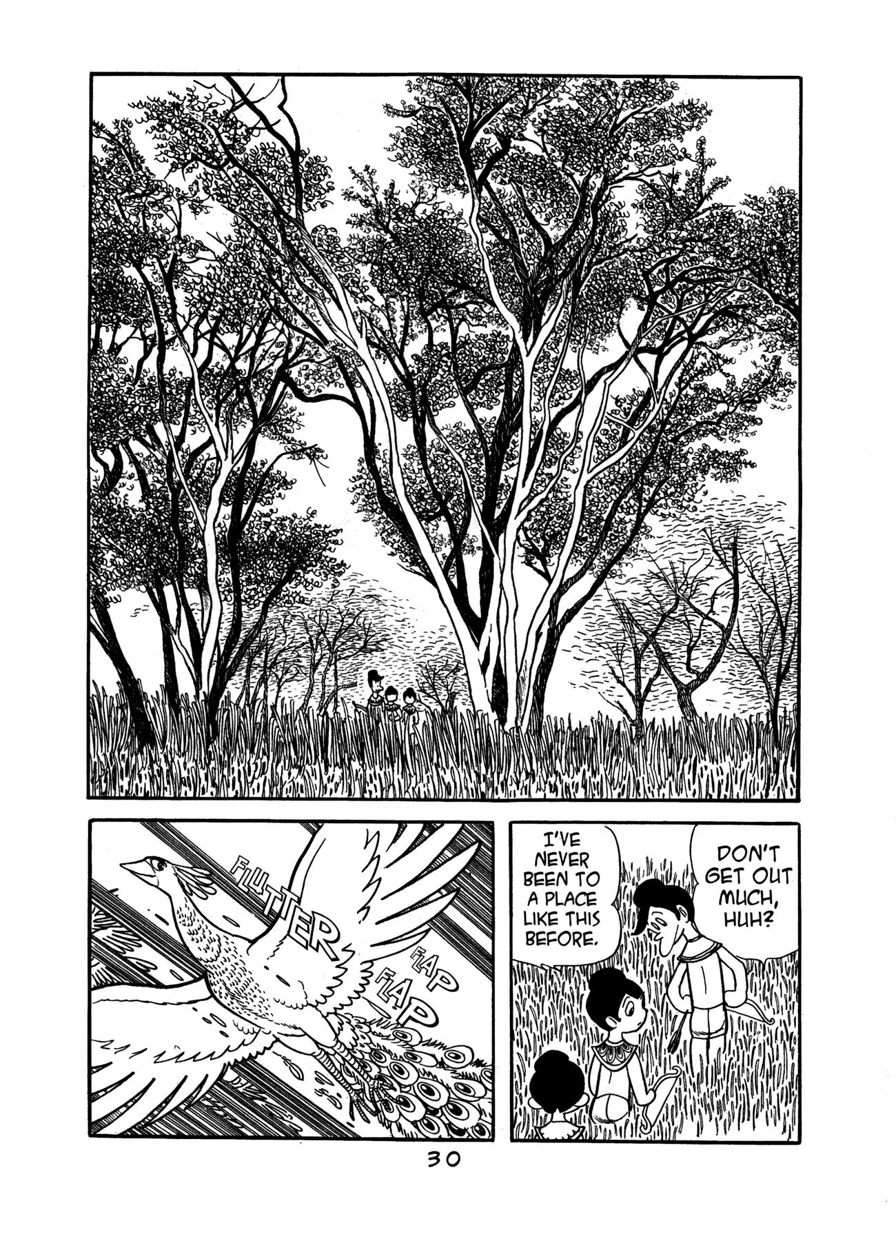 Buddha Chapter 13 page 29 - Chapter 13: The Prince