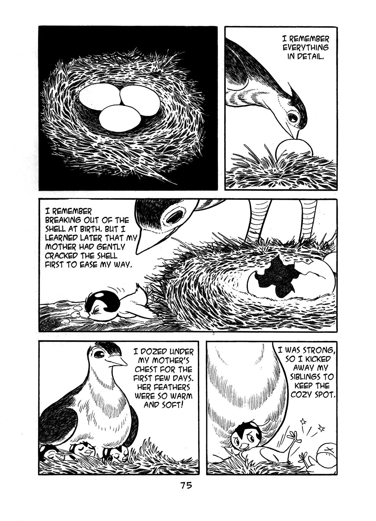 Buddha Chapter 14 page 27 - Chapter 14: The Garden of Meditation