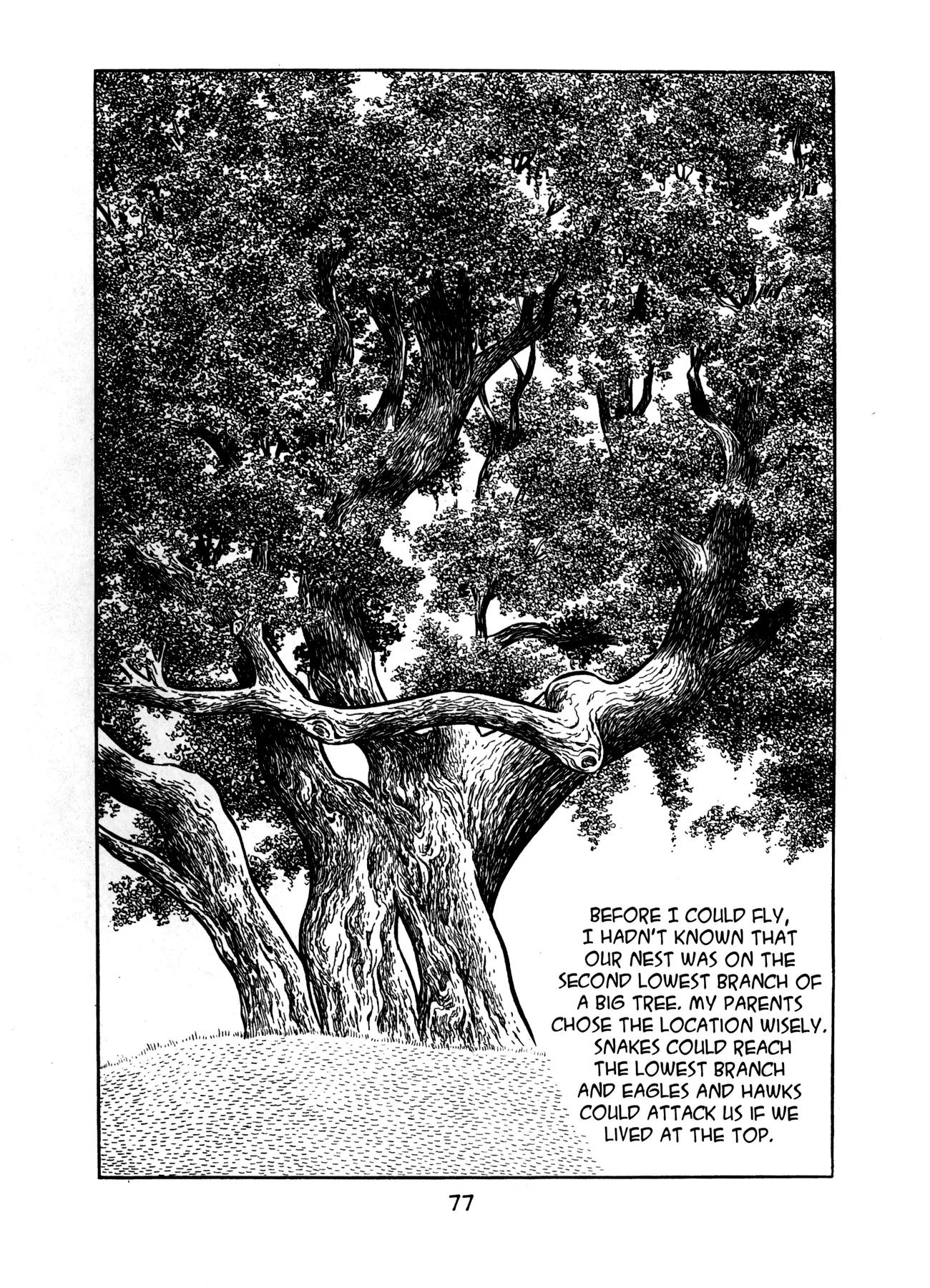 Buddha Chapter 14 page 29 - Chapter 14: The Garden of Meditation