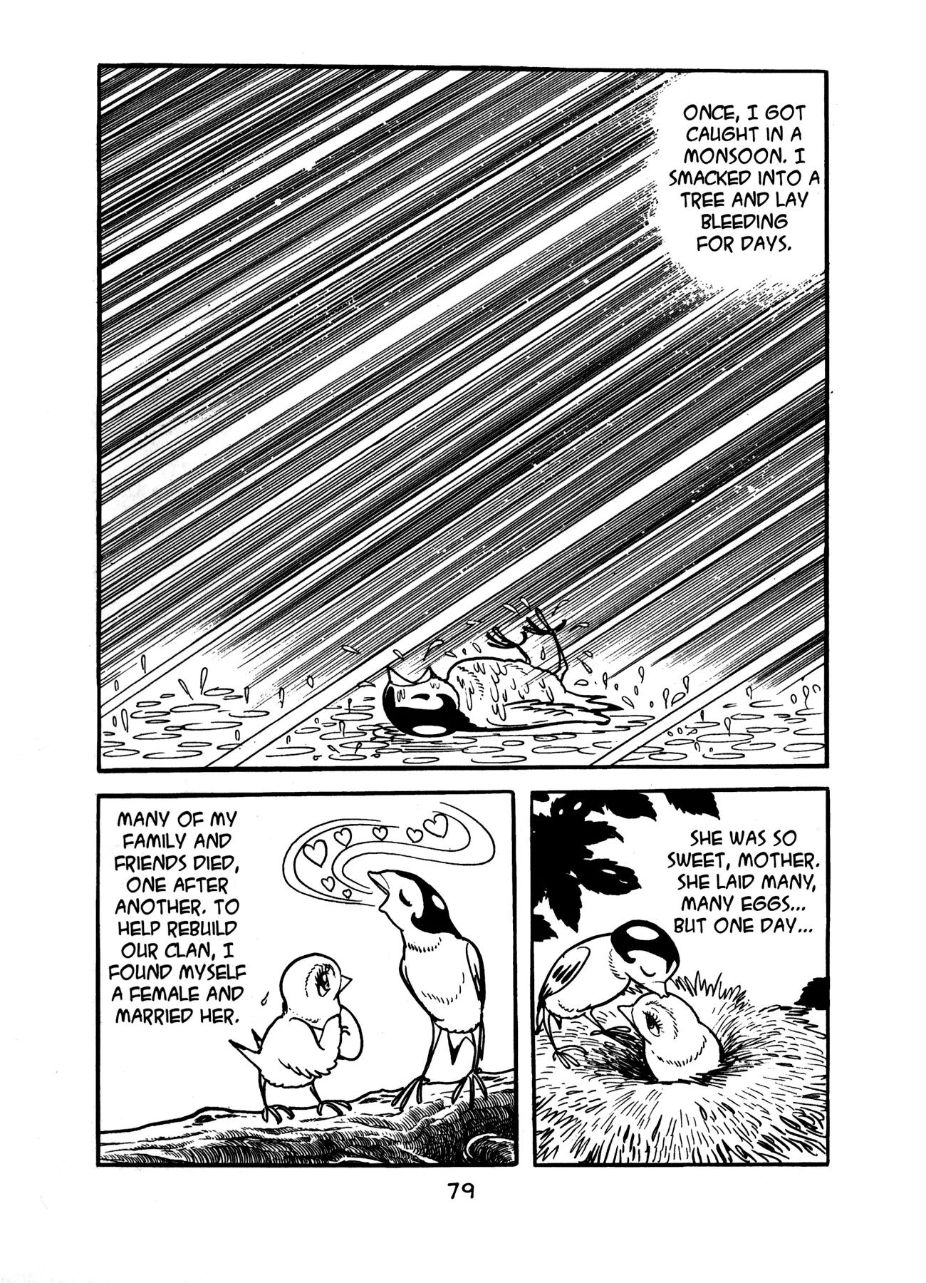 Buddha Chapter 14 page 31 - Chapter 14: The Garden of Meditation