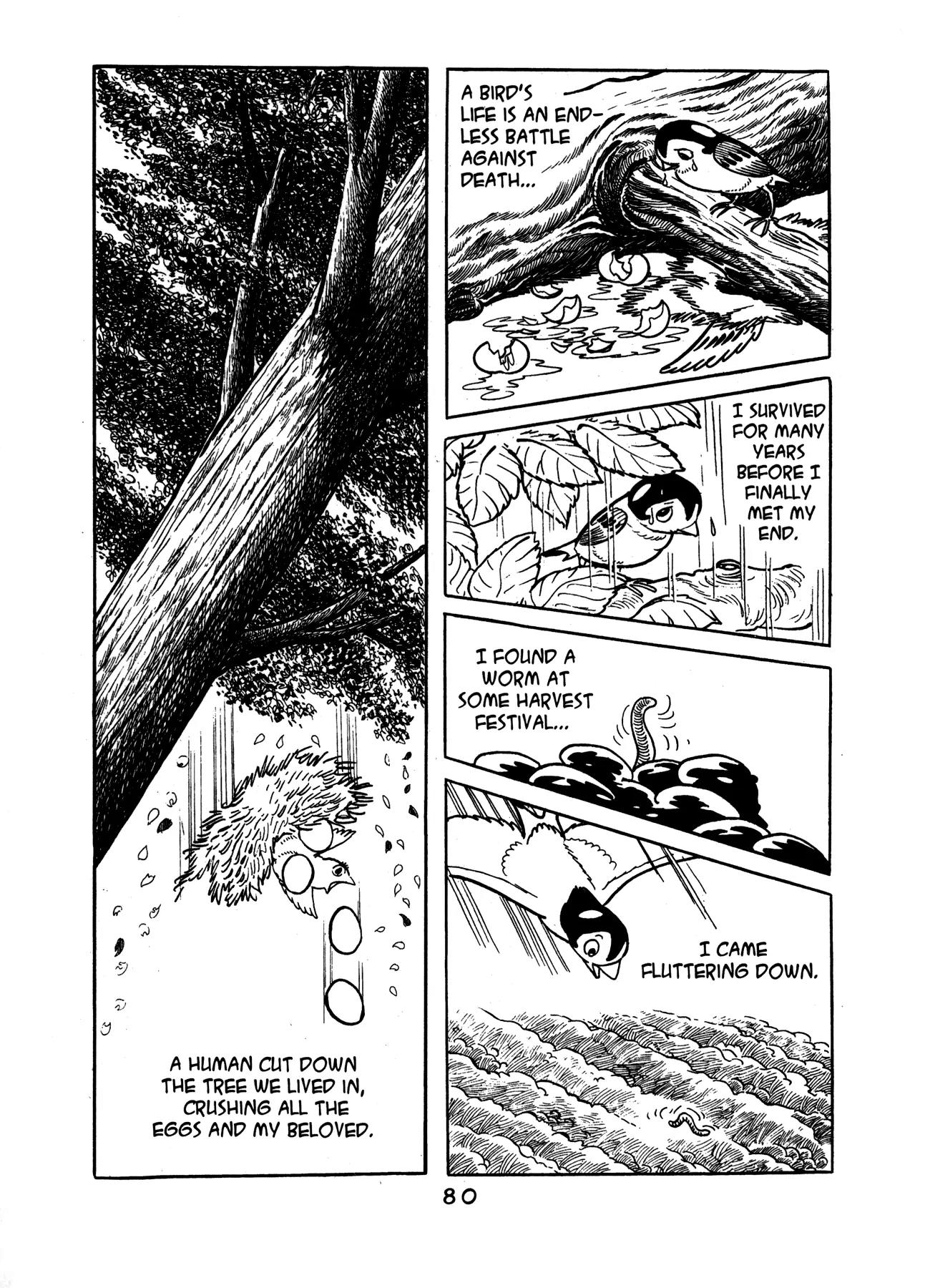 Buddha Chapter 14 page 32 - Chapter 14: The Garden of Meditation