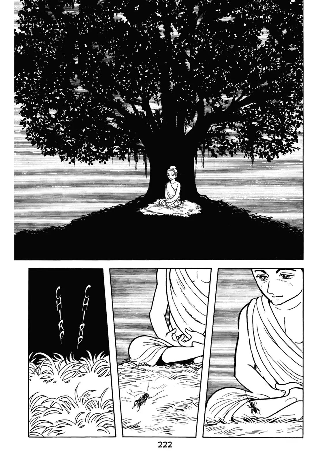 Buddha Chapter 32 page 6 - Chapter 32: The Crystal Prince