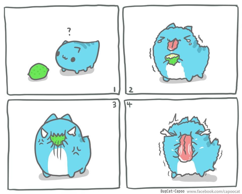 BugCat-Capoo Chapter 1.5 page 59 - Chapter 1.5 : 2014 Shorts & Illustrations Collection