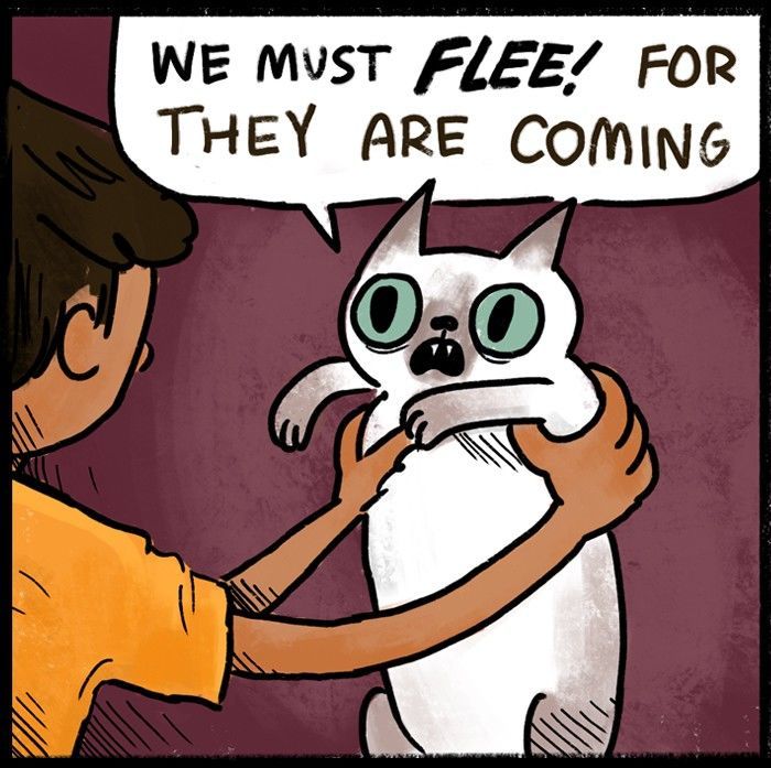 BuzzFeed Comics Chapter 274 page 2 - Chapter 274