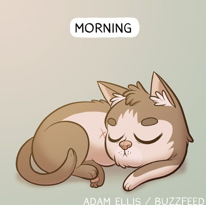 BuzzFeed Comics Chapter 403 page 2 - Chapter 403 : Books of Adam