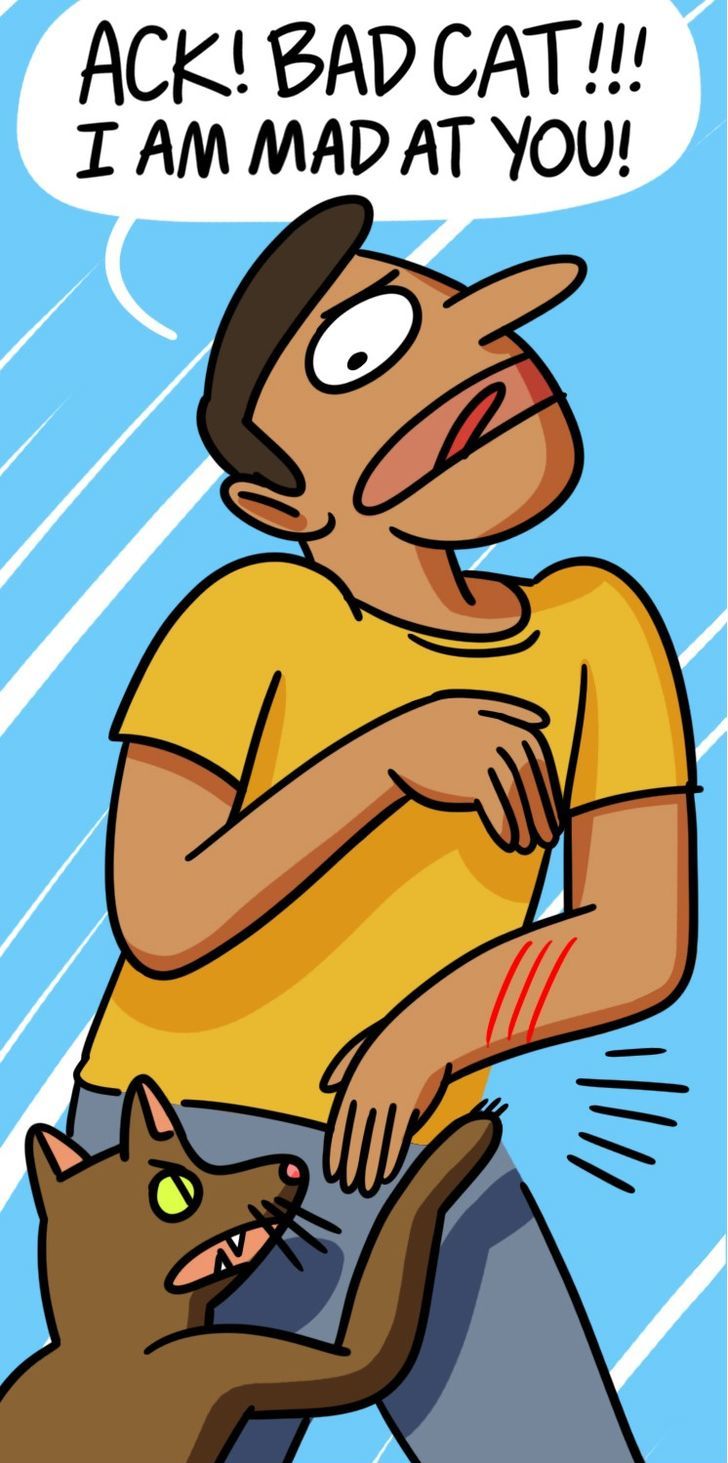 BuzzFeed Comics Chapter 411 page 2 - Chapter 411