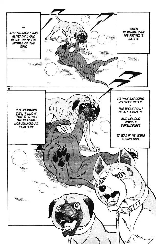 Byakuren No Fangu Chapter 13 page 35 - Chapter 13
