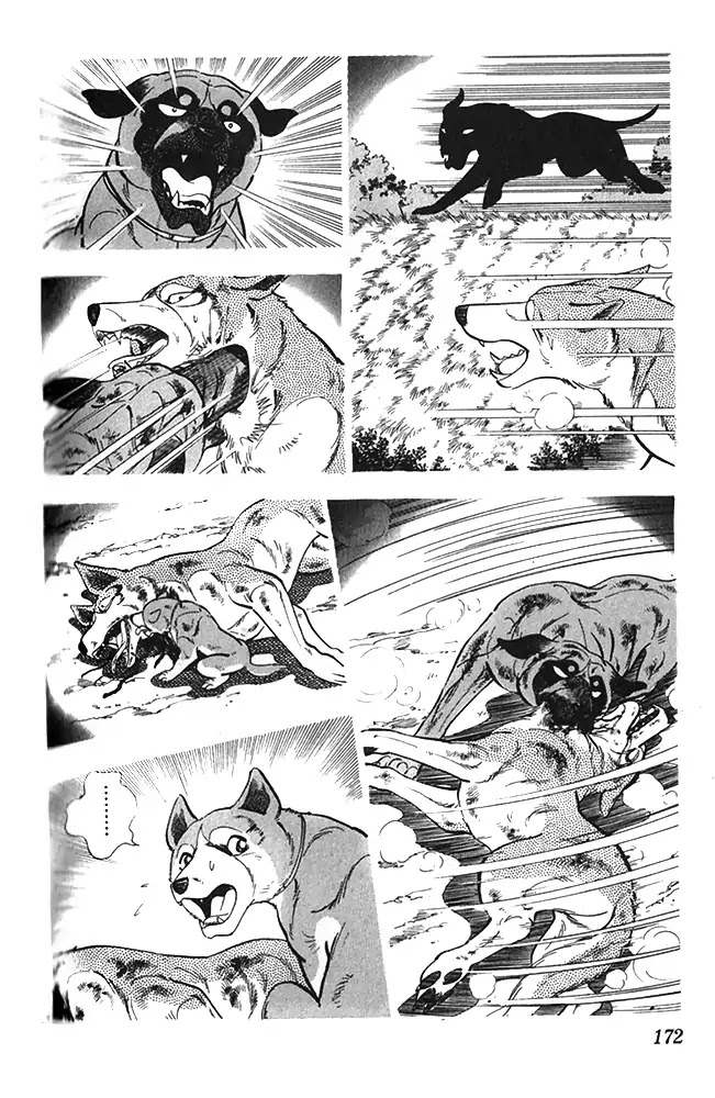 Byakuren No Fangu Chapter 22 page 22 - Chapter 22: Battle Against Unryuu! The Conslusion! [END]
