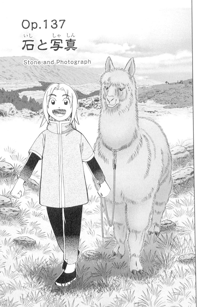 C.M.B. Chapter 137 page 4 - Chapter 137: Stone and Photograph
