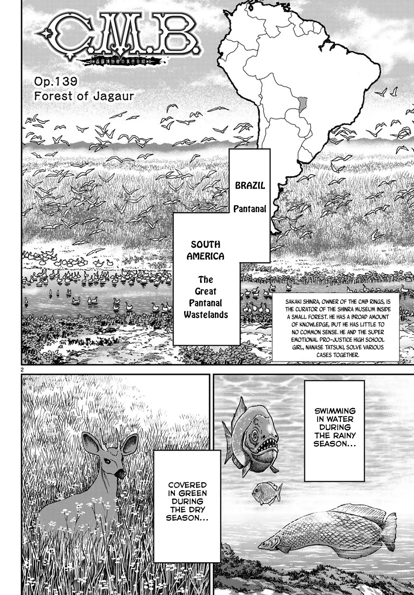 C.M.B. Chapter 139 page 5 - Chapter 139: Forest of Jaguar (Part 1)