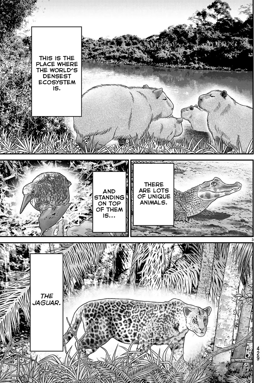 C.M.B. Chapter 139 page 6 - Chapter 139: Forest of Jaguar (Part 1)