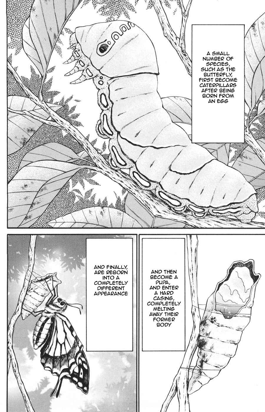 C.M.B. Chapter 20 page 2 - Chapter 20: The Metamorphosis