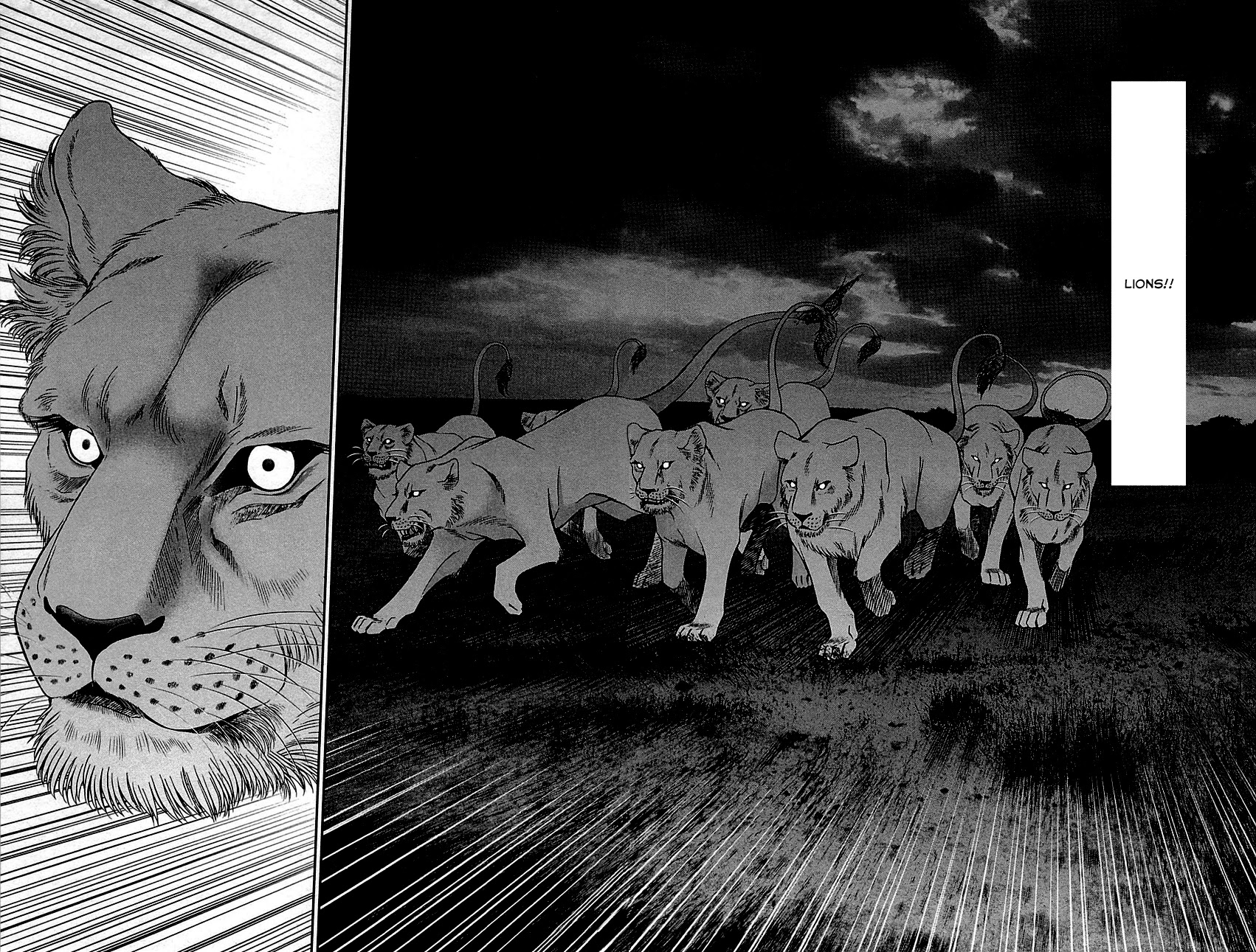 C.M.B. Chapter 81 page 43 - Chapter 81: Lion's Land (Part 1)