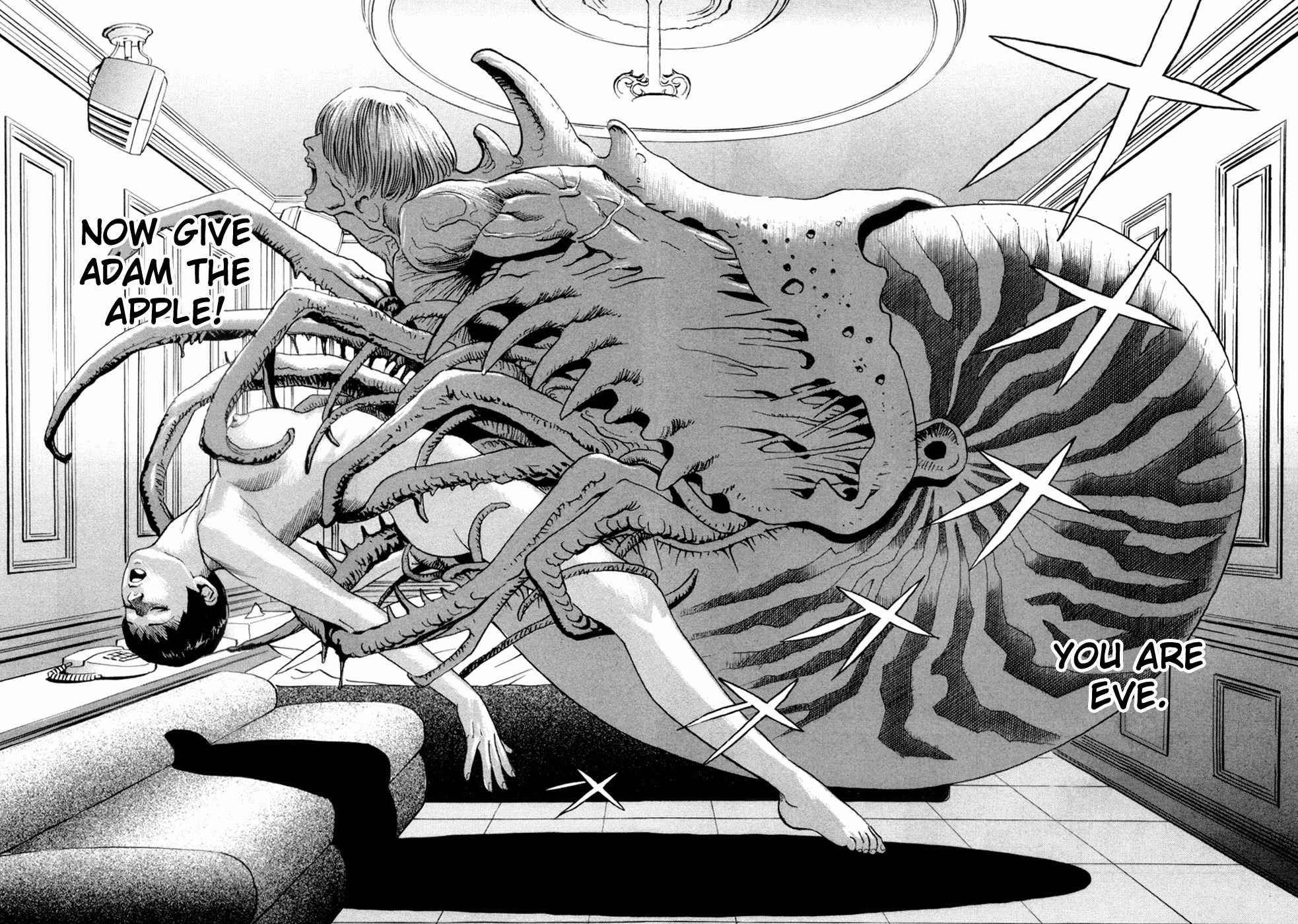 Cambrian Chapter 2 page 24 - Chapter 2: Transformation