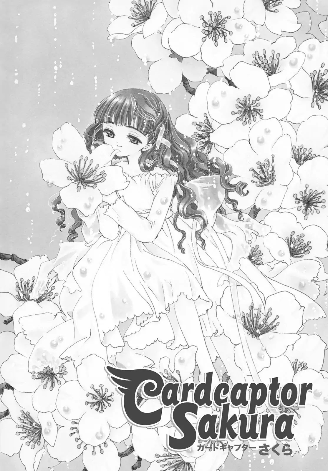 Cardcaptor Sakura Chapter 38 page 2 - Chapter 38