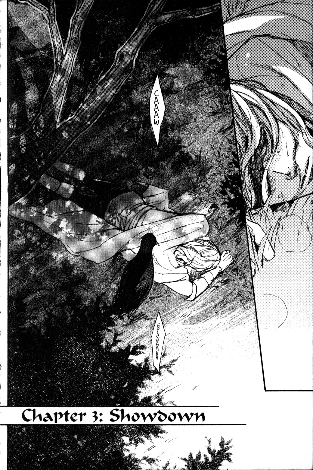 Castlevania - Curse of Darkness Vol.2 Chapter 3 page 11 - Vol.2 Chapter 3: Showdown