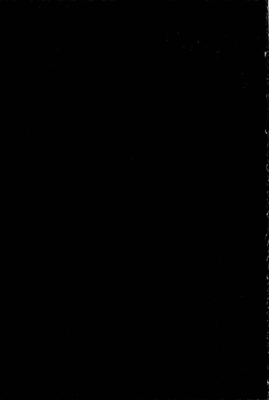 Castlevania - Curse of Darkness Vol.2 Chapter 3 page 95 - Vol.2 Chapter 3: Showdown