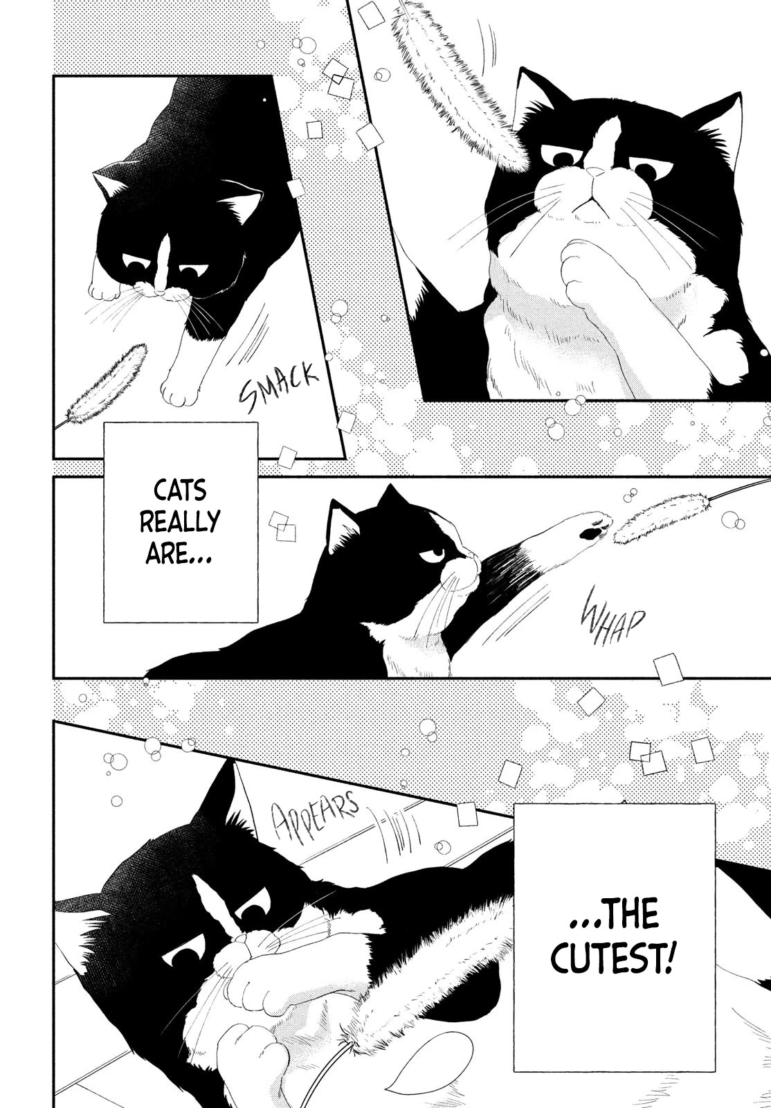 Cat and a Kiss Chapter 2 page 22 - Chapter 2: A Cat and His Prey