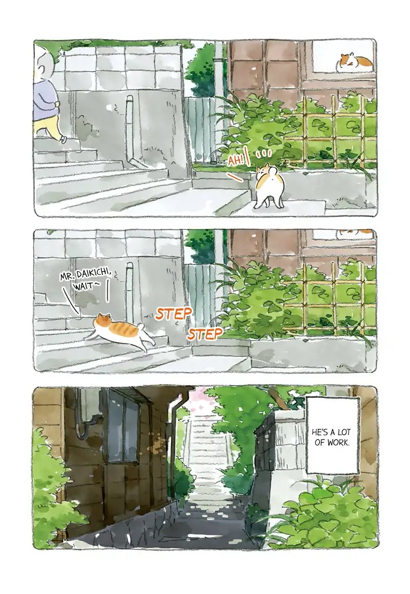 Cat and Grandpa Chapter 2 page 8 - Chapter 2: I Am Tama