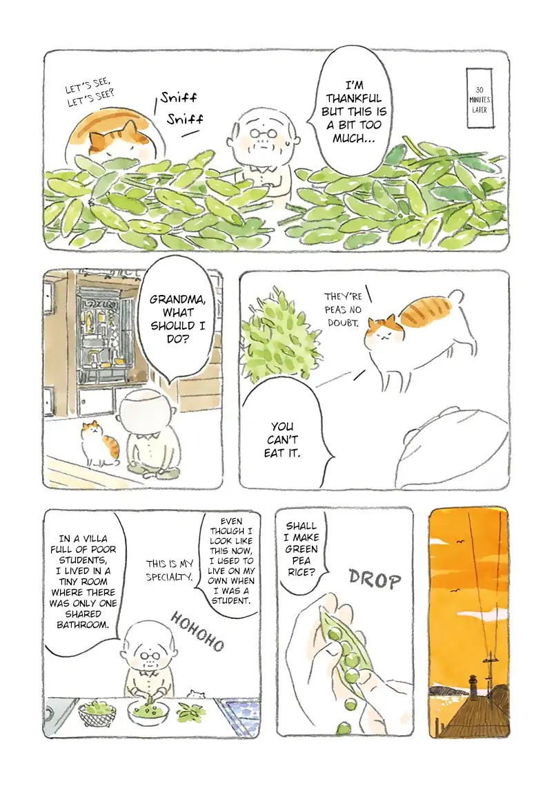 Cat and Grandpa Chapter 3 page 4 - Chapter 3: Green Pea Rice