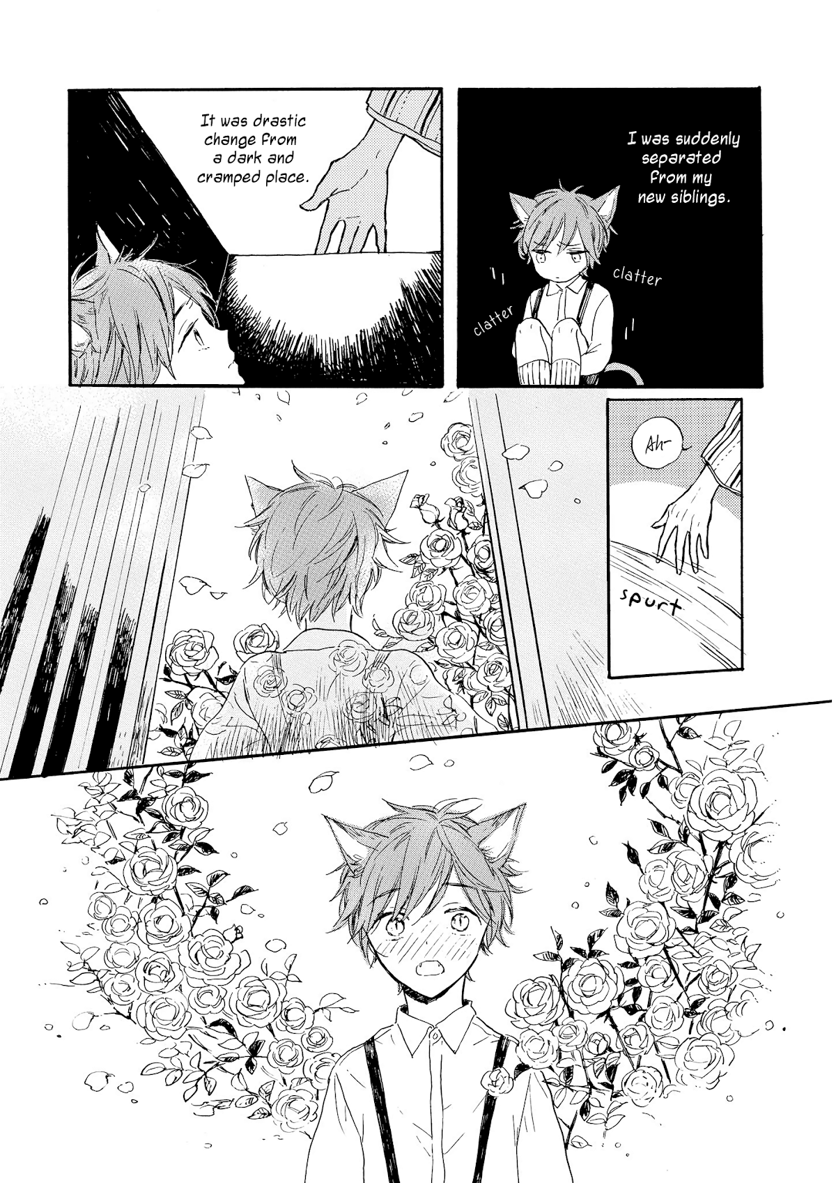 Cat & Dog In Rose Garden Chapter 3 page 3 - Chapter 3