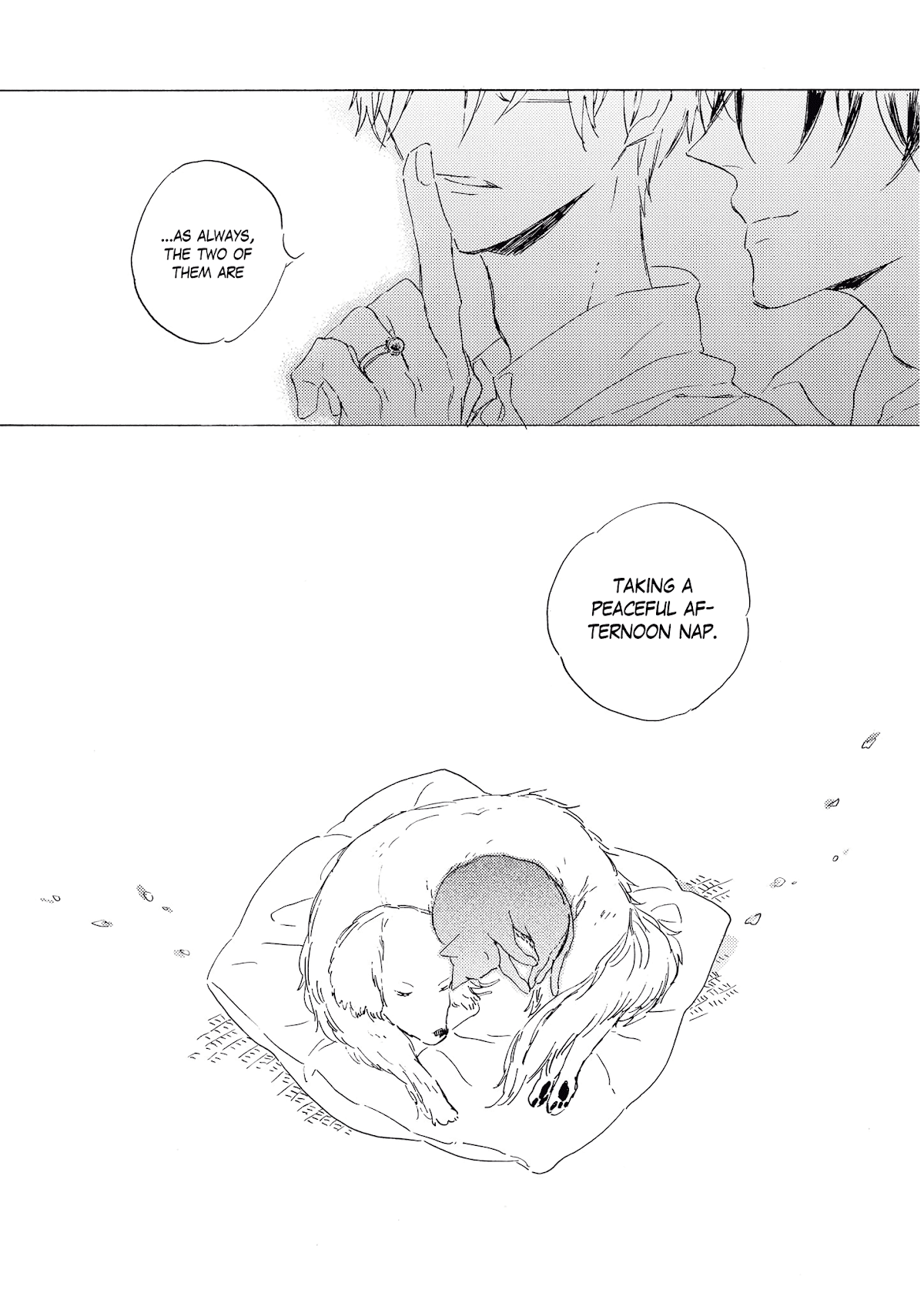 Cat & Dog In Rose Garden Chapter 7 page 35 - Chapter 7