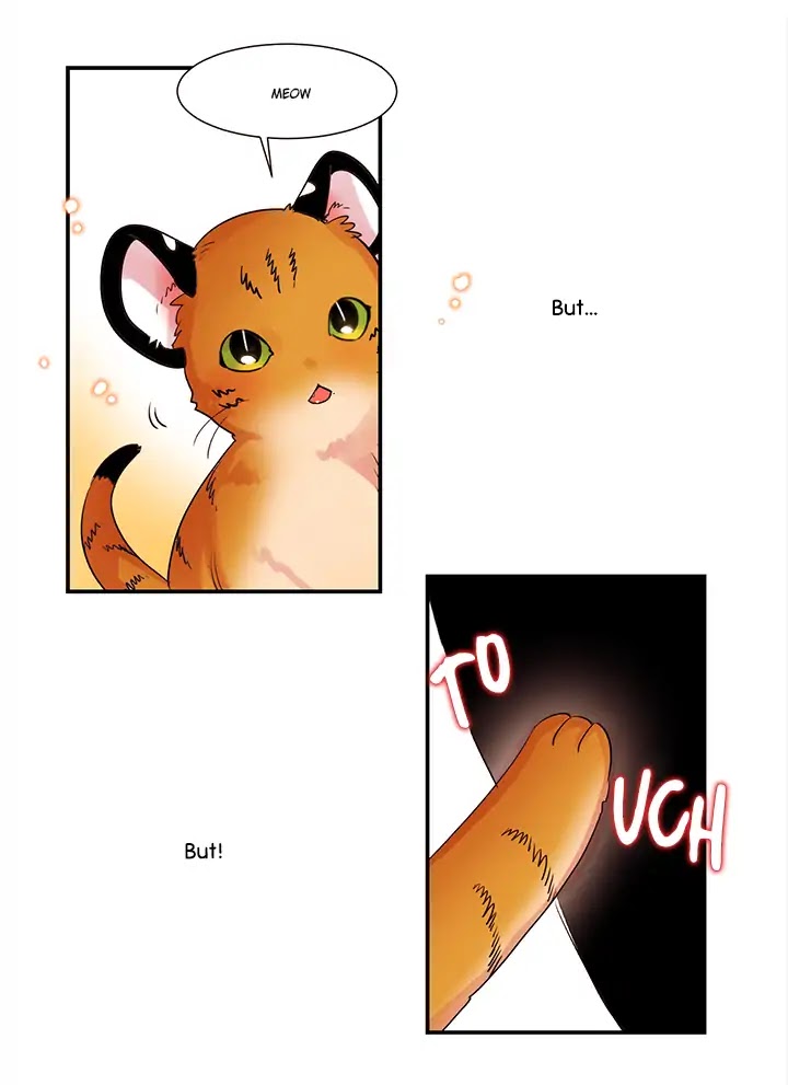 Cat in a Cardboard Box Chapter 1 page 21 - Chapter 1