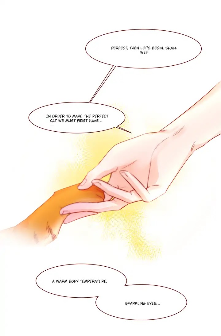 Cat in a Cardboard Box Chapter 1 page 3 - Chapter 1