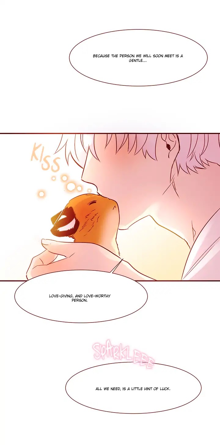 Cat in a Cardboard Box Chapter 1 page 7 - Chapter 1