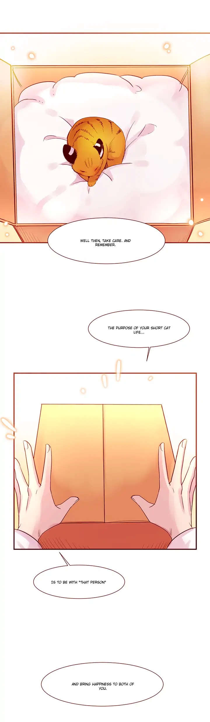 Cat in a Cardboard Box Chapter 1 page 8 - Chapter 1