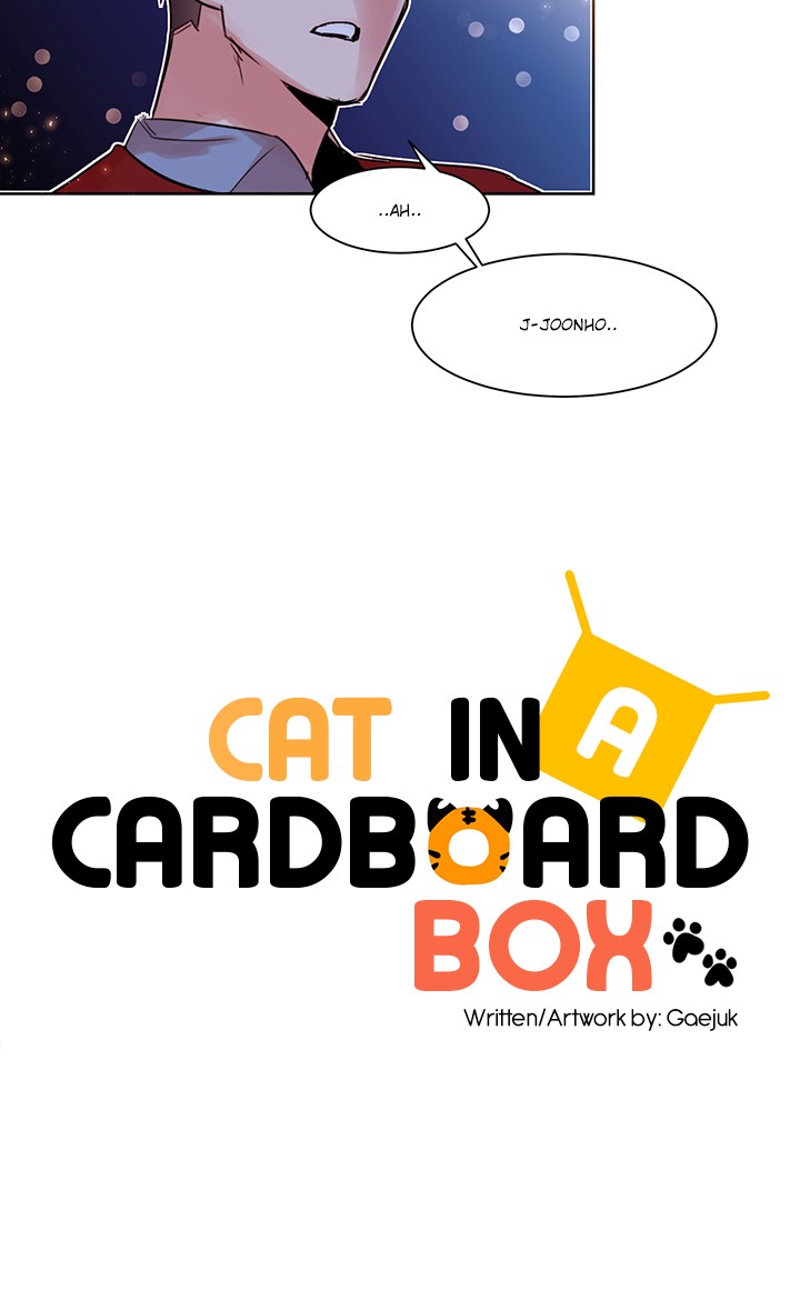Cat in a Cardboard Box Chapter 10 page 22 - Chapter 10