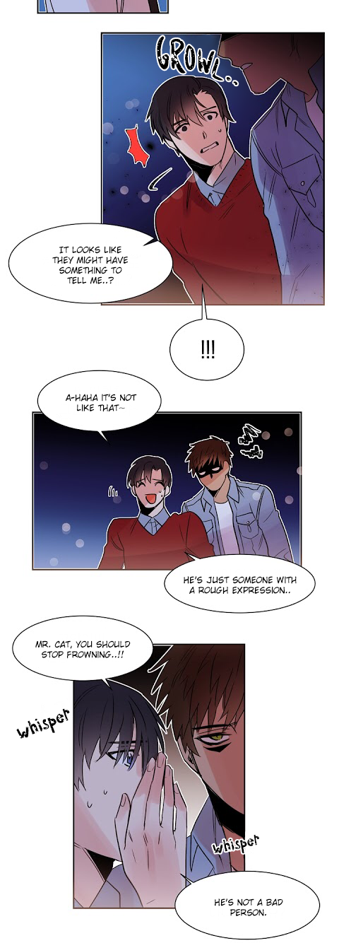 Cat in a Cardboard Box Chapter 11 page 11 - Chapter 11